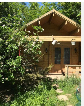 The cabin